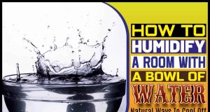 How To Humidify A Room With A Bowl Of Water