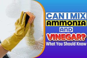 Can I Mix Ammonia And Vinegar