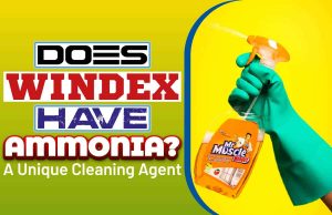Does Windex Have ammonia