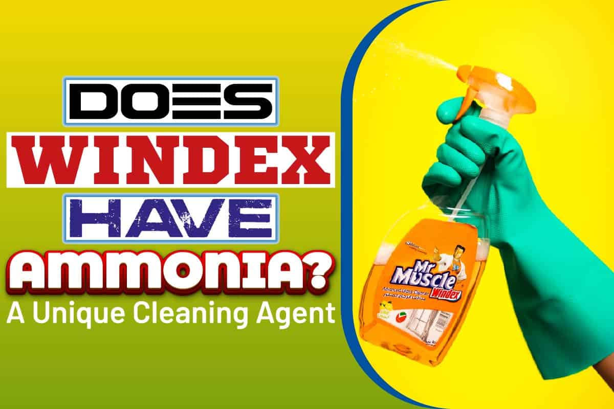 Does Windex Have ammonia? A Unique Cleaning Agent Moma Home Delivery