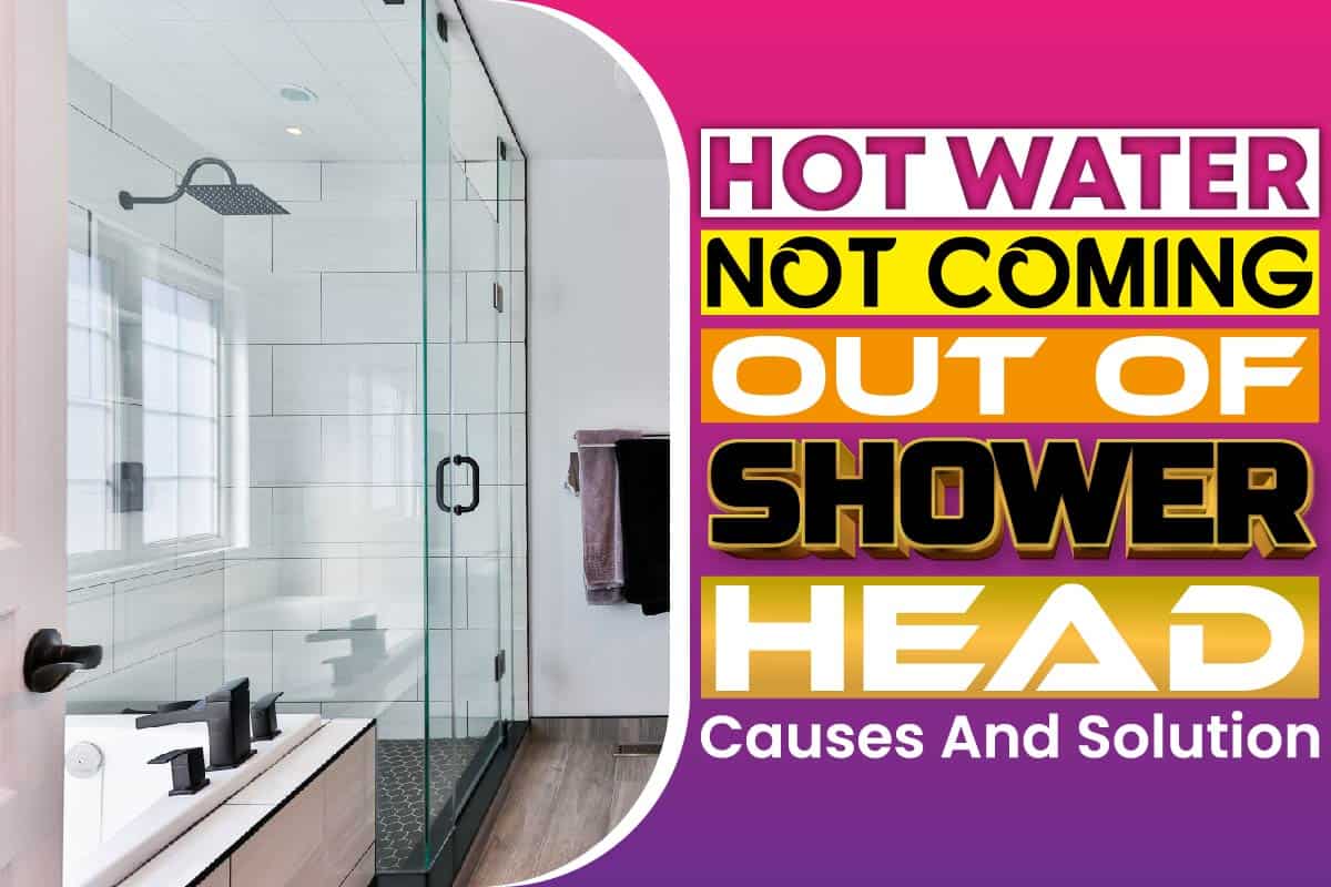 Hot Water Not Coming Out Of Shower Head Causes And Solution Moma Home Delivery