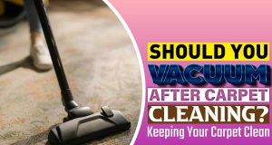 Should You Vacuum After Carpet Cleaning