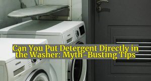 Can You Put Detergent Directly in the Washer