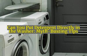 Can You Put Detergent Directly in the Washer