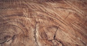 How Long Does It Take for Wood to Dry After Rain