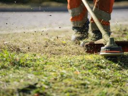How to Cut Tall Grass Without a Mower Simple & Eco-Friendly Tips