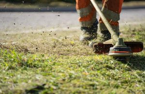 How to Cut Tall Grass Without a Mower Simple & Eco-Friendly Tips