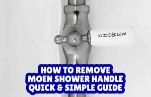 How to Remove Moen Shower Handle