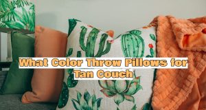 What Color Throw Pillows for Tan Couch