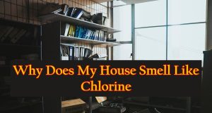Why Does My House Smell Like Chlorine