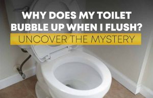 Why Does My Toilet Bubble Up When I Flush