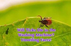 Will Ticks Die in the Washing Machine