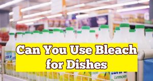 Can You Use Bleach for Dishes
