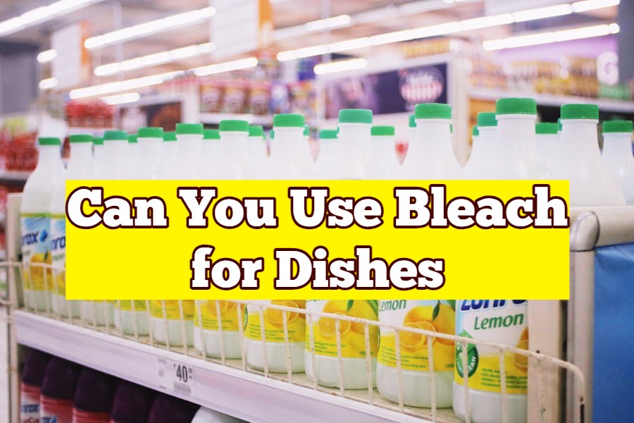 Can You Use Bleach for Dishes
